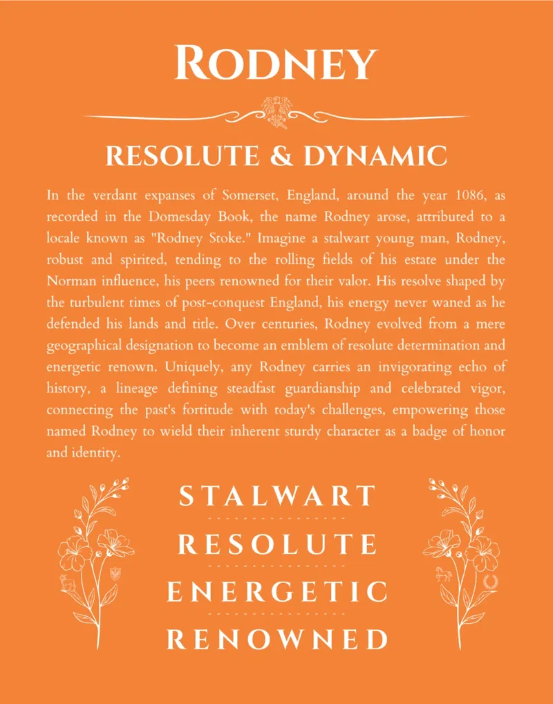 Rodney custom name meaning print in orange