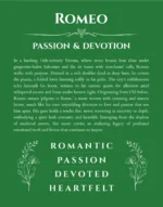 Romeo personalized wall art with the story of your name in dark green