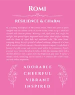 Romi personalized wall art with the story of your name in pink