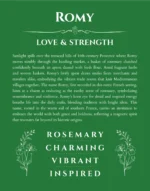 Romy name meaning wall art by Get Your Story in dark green