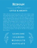 Ronan personalized wall art with the story of your name in blue