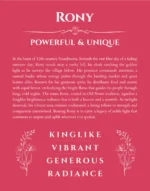 Rony personalized wall art with the story of your name in red