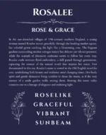 Rosalee personalized name print with origin and traits in navy blue