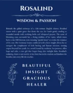 Rosalind personalized name art with origin story in deep blue