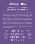 Rosalinda personalized name art with origin story in purple