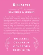 Rosalyn name meaning gift print in pink