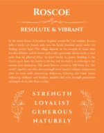 Roscoe personalized name print with origin and traits in orange