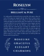 Roselyn name meaning wall art by Get Your Story in deep blue