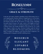 Roselynn personalized name art with origin story in deep blue
