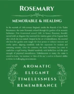 Rosemary custom name print for wall display in dark green