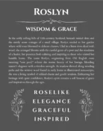 Roslyn personalized wall art with the story of your name in gray