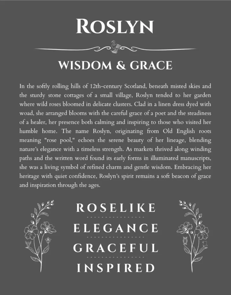 Roslyn personalized wall art with the story of your name in gray