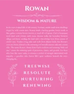 Rowan name meaning gift print in pink