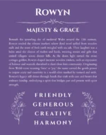 Rowyn name meaning wall art by Get Your Story in purple