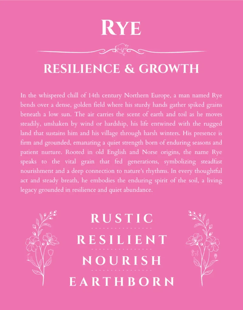 Rye personalized name art with origin story in pink