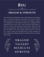 Ryu custom name meaning print in navy blue