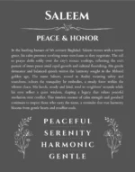 Saleem name origin print with meaning and traits in gray