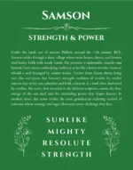 Samson personalized name print with origin and traits in dark green