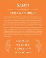 Santi name meaning wall art by Get Your Story in orange
