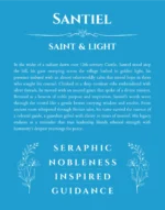Santiel name meaning wall art by Get Your Story in blue