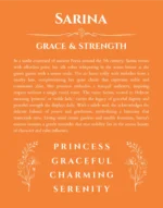 Sarina personalized name meaning print in orange