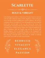 Scarlette personalized wall art with the story of your name in orange