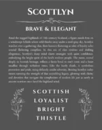 Scottlyn personalized name meaning print in gray
