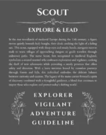 Scout personalized name print with origin and traits in gray