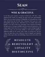 Sean personalized name art with origin story in navy blue