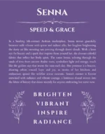 Senna personalized wall art with the story of your name in purple