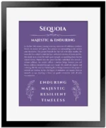 Sequoia personalized name meaning print in purple with black matte frame