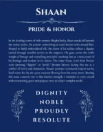 Shaan custom name art showing meaning and origin in deep blue