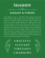 Shaindy custom name art showing meaning and origin in dark green