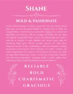Shane personalized wall art with the story of your name in pink