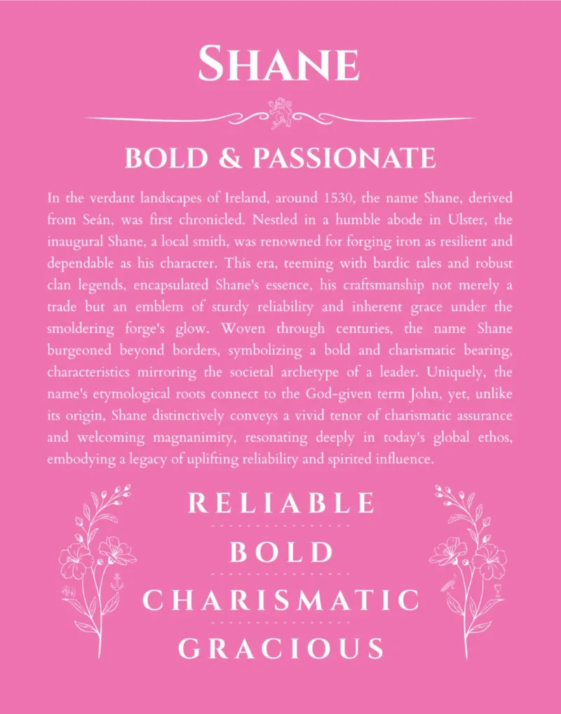 Shane personalized wall art with the story of your name in pink