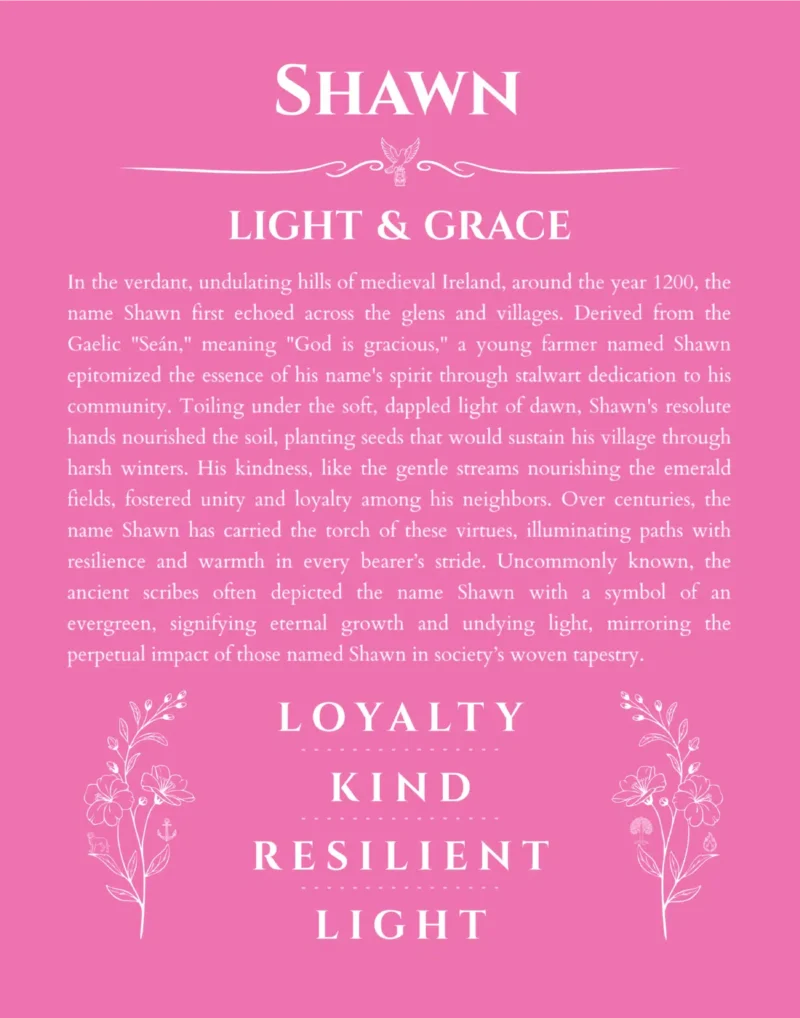 Shawn personalized wall art with the story of your name in pink