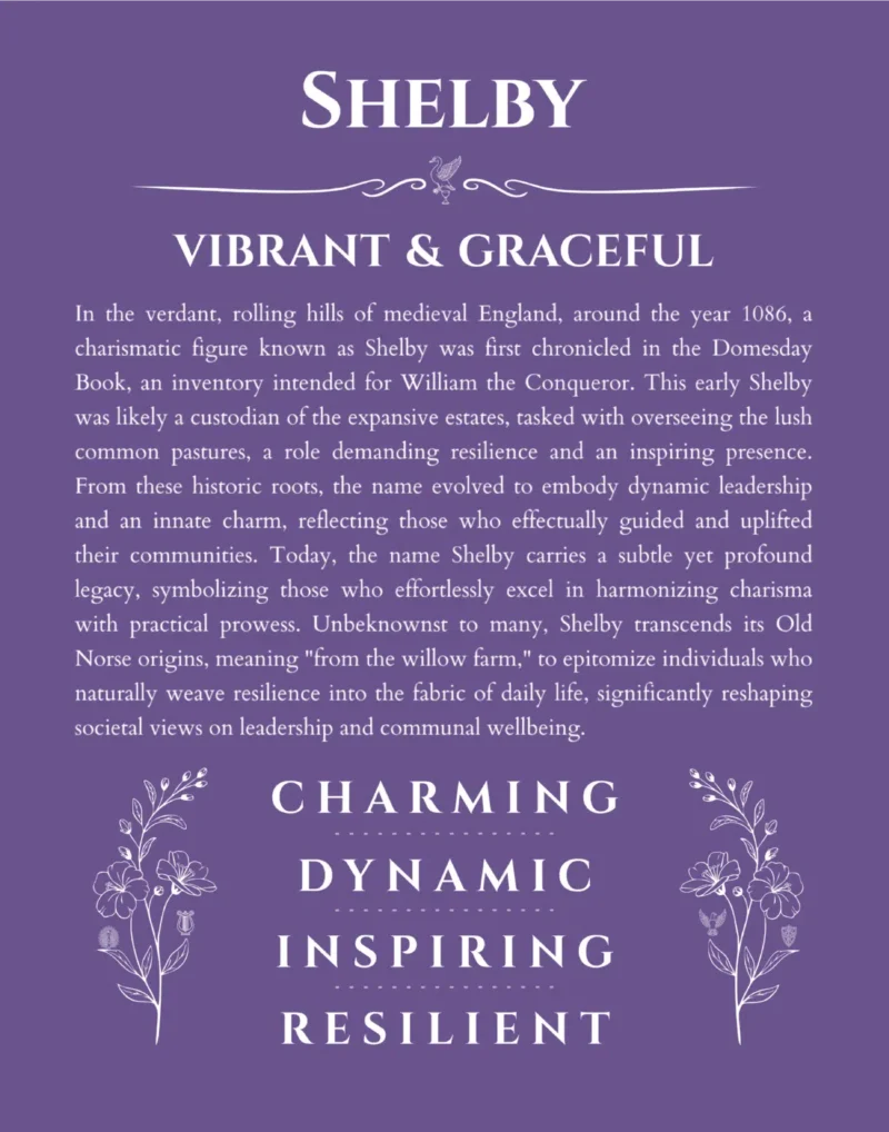 Shelby custom name art showing meaning and origin in purple