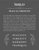 Shilo custom name art showing meaning and origin in gray