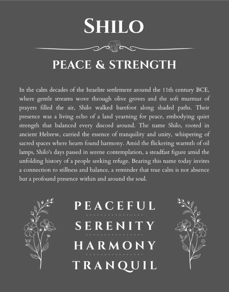 Shilo custom name art showing meaning and origin in gray
