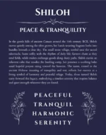 Shiloh personalized wall art with the story of your name in navy blue