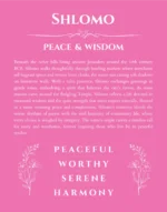 Shlomo personalized name print with origin and traits in pink