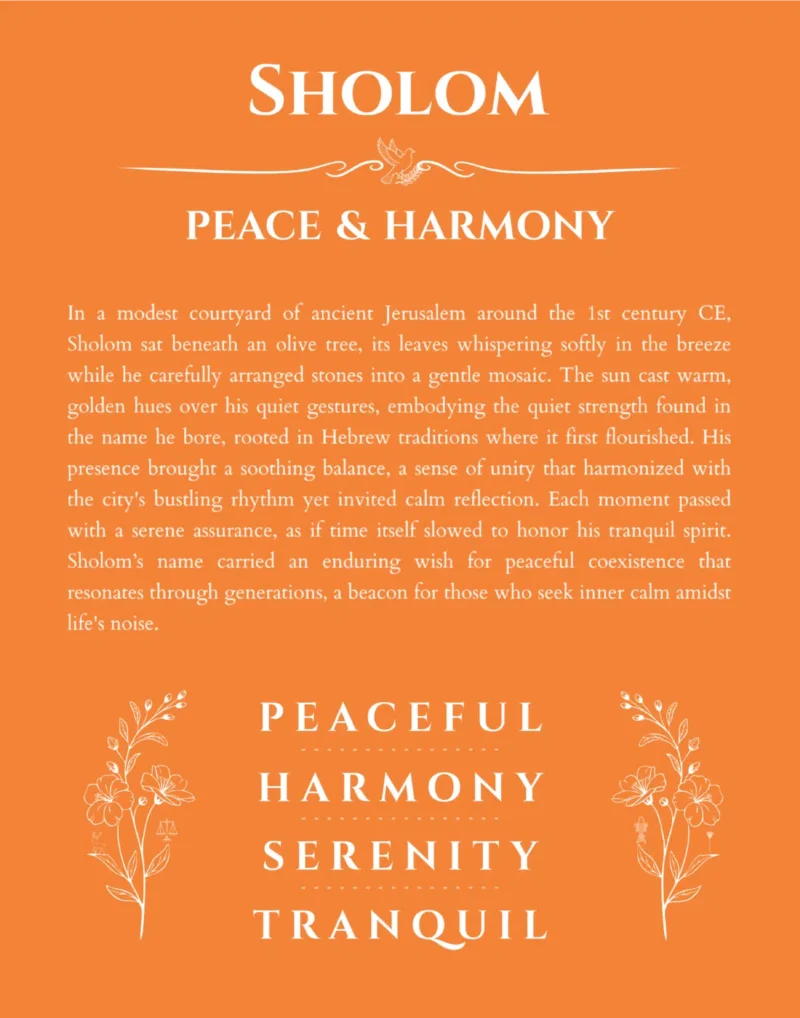 Sholom name meaning wall art by Get Your Story in orange