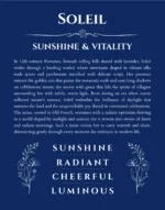 Soleil name meaning gift print in deep blue