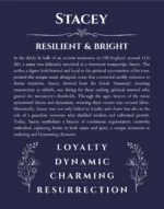 Stacey personalized name meaning print in navy blue