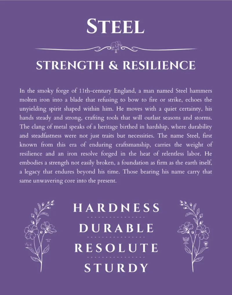 Steel name meaning gift print in purple