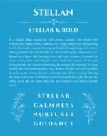 Stellan name meaning gift print in blue