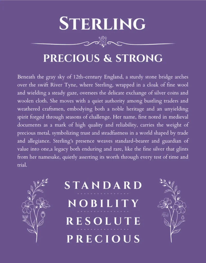 Sterling personalized wall art with the story of your name in purple
