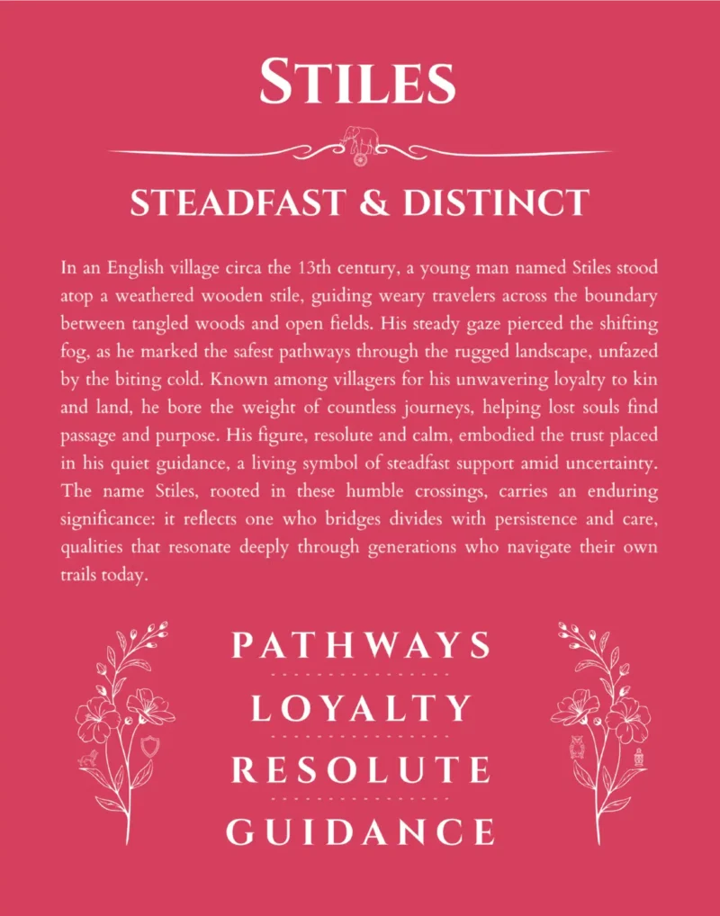 Stiles personalized name print with origin and traits in red