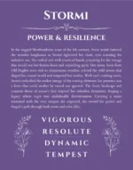 Stormi name origin print with meaning and traits in purple