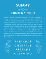Sunny personalized wall art with the story of your name in blue
